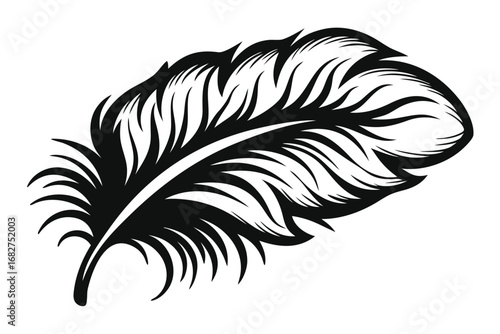 Isolated black feather is beautifully detailed on a white background, showing delicate patterns