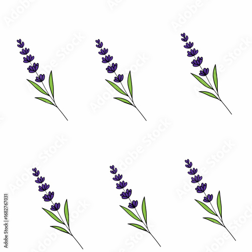  Vector set of lavender flowers.