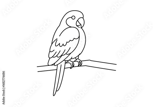 Charming line art parrot perched elegantly on a branch, perfect for whimsical designs