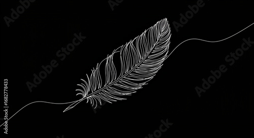 Elegant white feather line art on