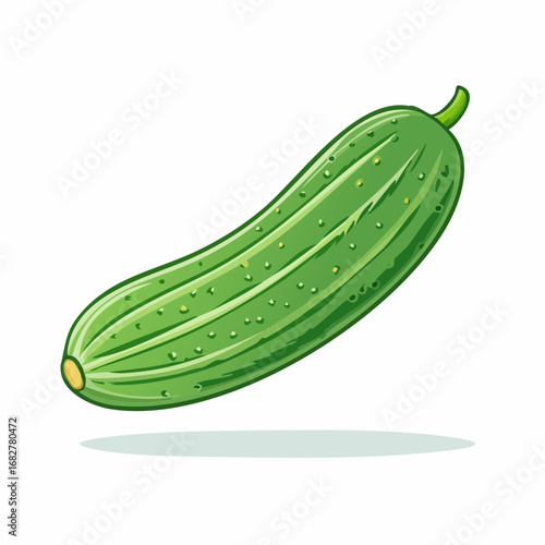 fresh organic cucumber isolated clipping path ,vector svg