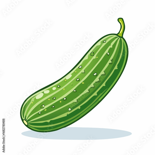 fresh organic cucumber isolated clipping path ,illustration vector