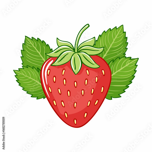 fresh strawberry fruits with leaves isolated white background,vector illustration