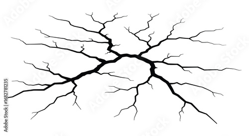 black branching tree like structure on white background