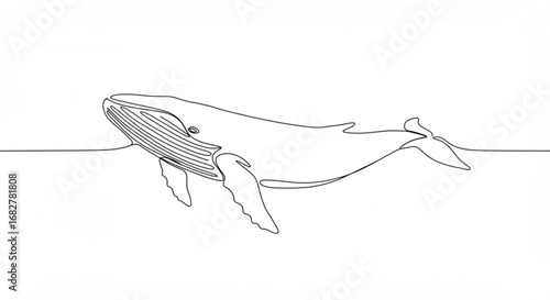 Minimalist whale line drawing illustration