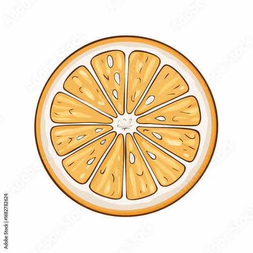 orange fruits half isolated white ,illustration vector