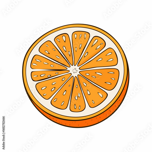 orange fruits half isolated white ,vector illustration