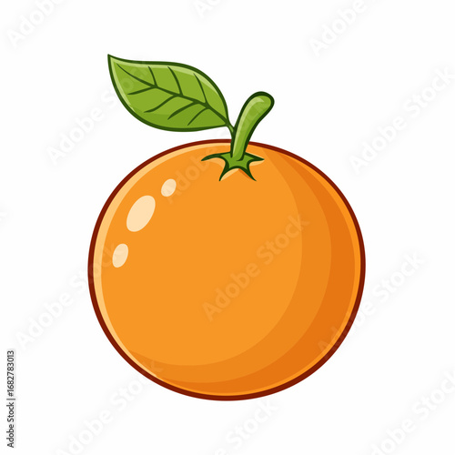 vector illustration of orange fruit