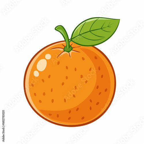 vector illustration of an orange fruit
