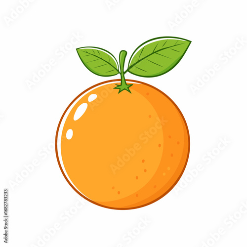 vector illustration of orange fruit