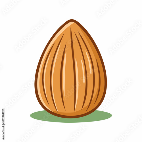 ripe fresh almond clipping path organic fresh almond one almon ,vector illustration