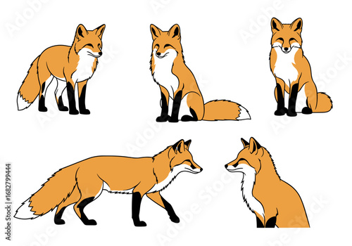 Charming fox collection showcasing playful poses and cute expressions for nature lovers
