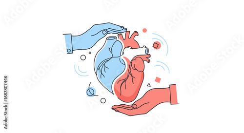 Two caring hands gently protect a stylized human heart, symbolizing vital health, medical support, and the importance of cardiovascular well-being.