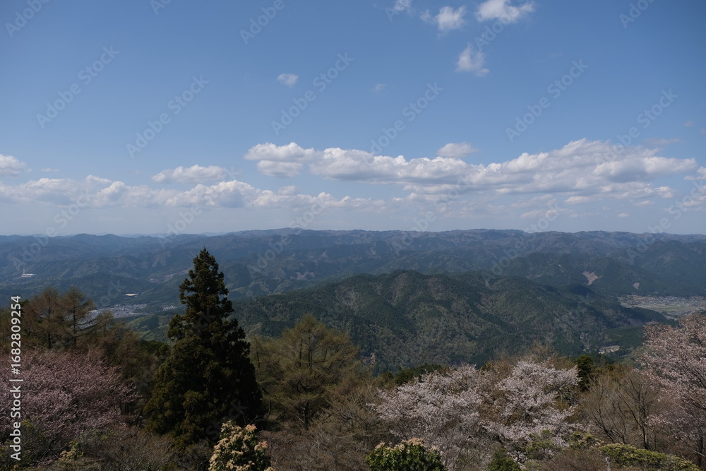Naklejka premium 日本、京都,、比叡山、花、山、絶景、景色、春の絶景、ポット、神社、寺院、木造建築旅行、風景、旅、森,、自然、空,、春、木、写真素材 