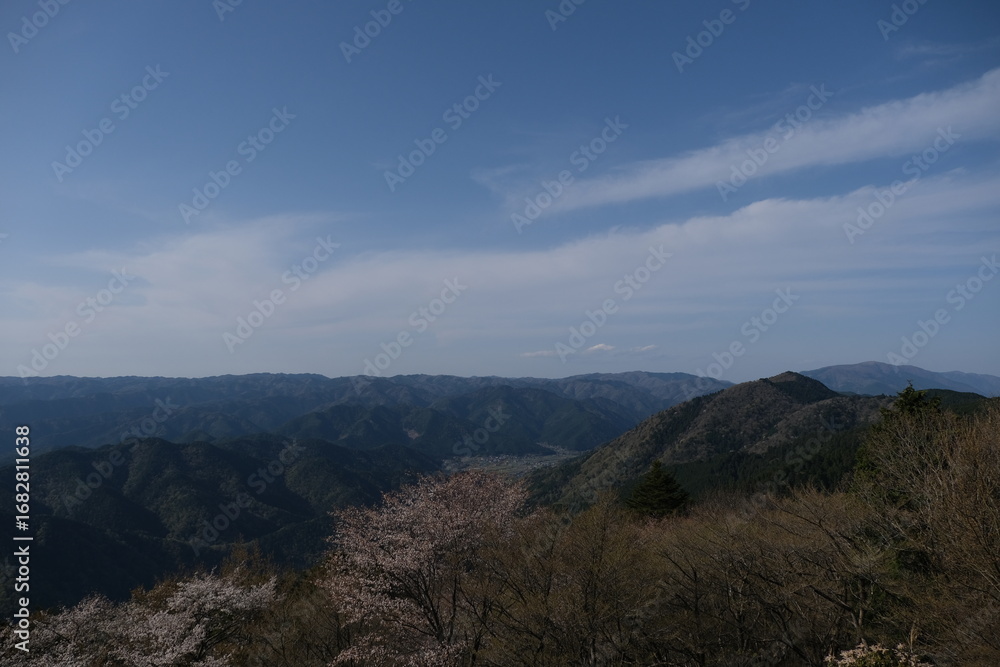Fototapeta premium 日本、京都,、比叡山、花、山、絶景、景色、春の絶景、ポット、神社、寺院、木造建築旅行、風景、旅、森,、自然、空,、春、木、写真素材 