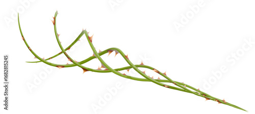 An abstract object with sharp thorns, rendered in 3D. The organic form of the spiky branch is perfect for unique decorative pieces.