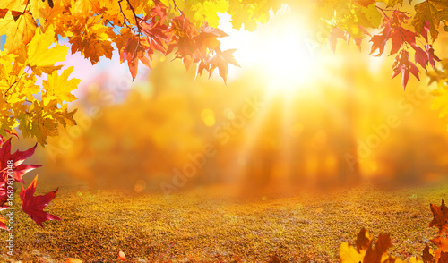 orange fall leaves in forest, autumn natural field background with blurred bokeh and sun rays