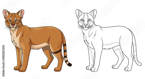 Jungle Cat Coloring Page with Detailed Outline Version for Kids Adults Educational Fun