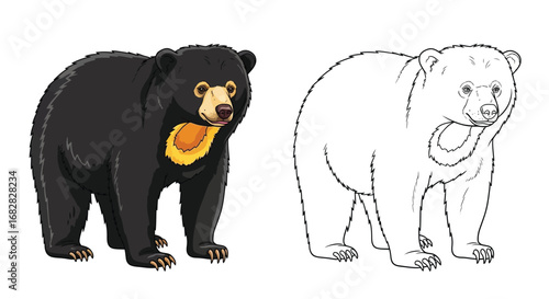 Malayan Sun Bear Coloring Page with Full and Outline View Educational Wildlife Activity