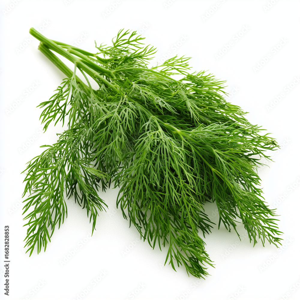 Fototapeta premium dill leaves on white background