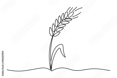 Continuous One Line Drawing of a Wheat Stalk | Vector Art of a Grain or Harvest.