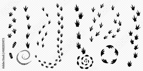 Collection of various animal footprint trails, including straight lines, curves, spirals, and circular patterns.