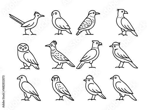Desert Bird Icons. Outline icon set of Desert birds: roadrunner, sandgrouse, cactus wren, burrowing owl,