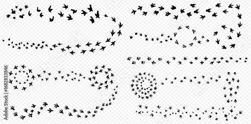 Collection of bird footprint trails forming various shapes and patterns on a transparent background.