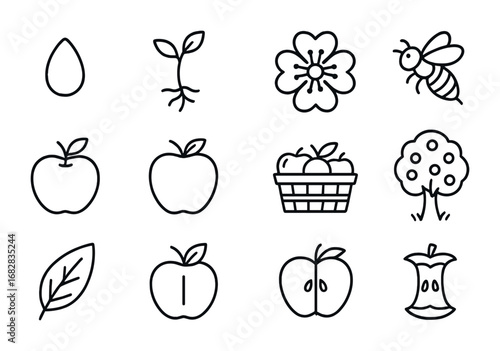 Apple Growth Icons Grid. Outline icon set of apple growth: apple seed, sapling, apple blossom, bee pollination