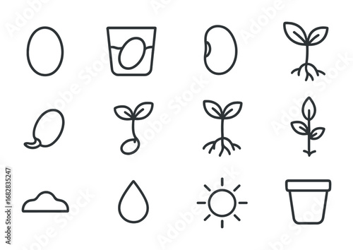 Seed Growth Icon Set. Outline icon set of seed germination: dry seed, soaking seed, cracked seed, sprout,