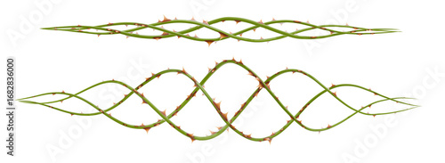 Bilde på lerret A complex 3D render of a gracefully tapering, thorny vine