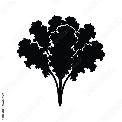 Silhouette of vibrant leafy greens, showcasing the elegance of curly kale, kale bunch silhouette vector illustration