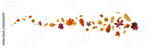 Autumn leaves. Fall foliage pattern, flying in wind, flowing movement, horizontal seasonal nature decoration. Maple, oak, birch tree leaf in air. Flat vector illustration isolated on white background