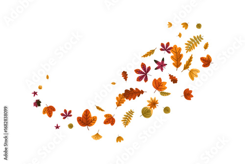 Fall foliage. Autumn leaves falling from maple, oak, birch tree. Seasonal lea...
