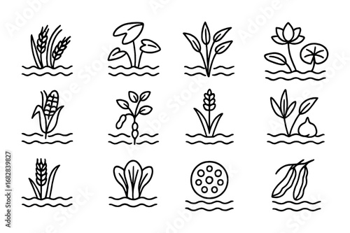 Flood-Resistant Crop Icons. Outline icon set of Flood-resistant crops: rice, taro, water spinach, lotus, flood