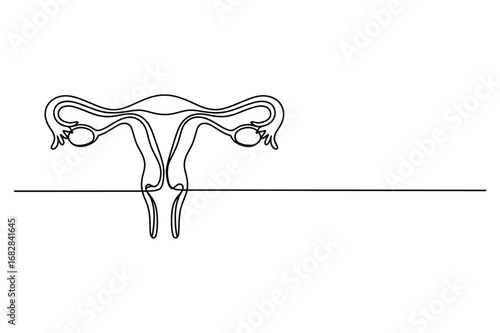 One Line Drawing of Female Reproductive System | Editable Stroke Medical Vector