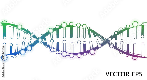 Stylized vector illustration of a DNA double helix, representing genetics, biology, and the science of life and molecular structure