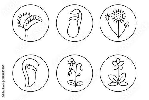 Outlined icons: six varieties of carnivorous and wild flowers