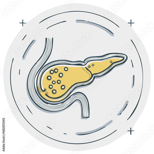 Anatomical sketch of the pancreas organ for healthcare and biology concepts