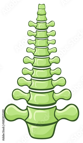Green Cartoon Spine Vertebrae for Medical Educational Purposes Health Spine Column Bones