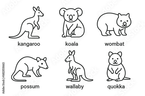 Australian animals outline: kangaroo, koala, wombat, possum, wallaby, quokka
