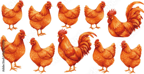 set of Collection with orange-red watercolor hens and roosters
