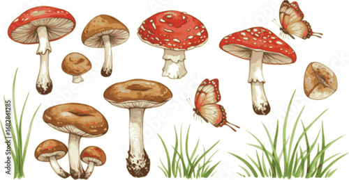 set of Mushrooms, grass and butterfly watercolor set elements. Template for decorating designs and illustrations.
