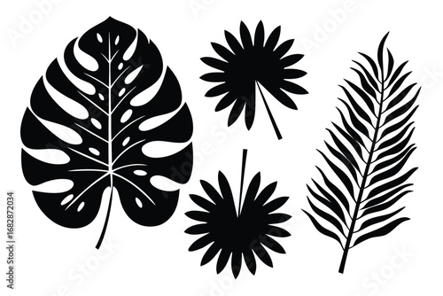 Monstera and various tropical leaves form beautiful black silhouettes naturally