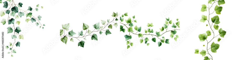 Obraz premium Lush green vine illustrations featuring delicate leaves and organic curves, ideal for nature-inspired designs and decorative motifs in various art projects