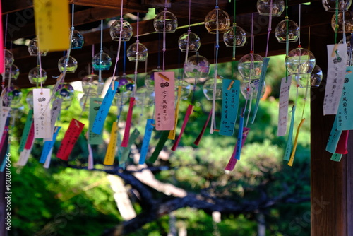 日本、京都、風鈴、平安神宮、神社、庭園、文化財、木造建築、古代建築、日本文化、歷史名勝、文化財、木、綠色、青空、写真素材