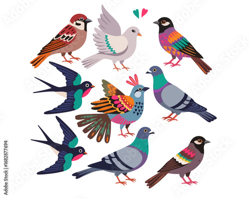 Colorful illustration of various bird species, showcasing vibrant plumage and diverse poses.