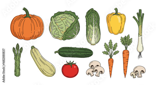 A colorful assortment of fresh healthy vegetables including pumpkin cabbage lettuce bell pepper leeks asparagus zucchini cucumber carrots and mushrooms