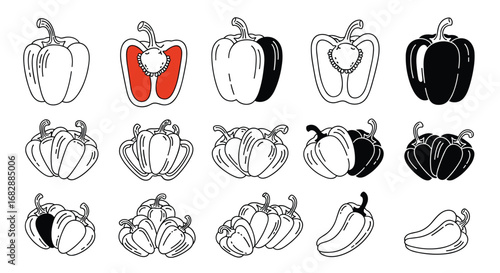 A hand drawn collection of assorted bell peppers including whole and halved varieties illustrating diverse colors and shapes