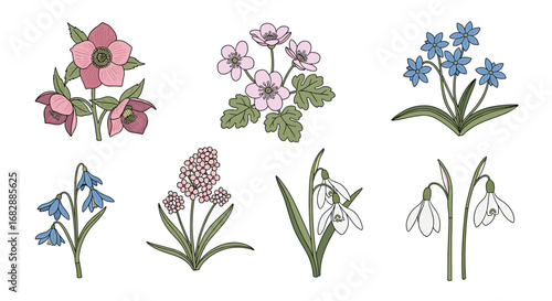 A collection of delicate watercolor spring flower illustrations for artistic projects